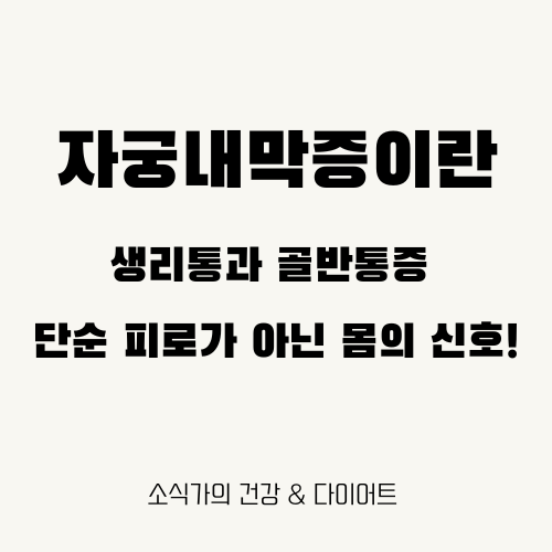 자궁내막증이란 무엇인가, 생리통과 골반통증은 던순 피로가 아닌 몸의 위험신호